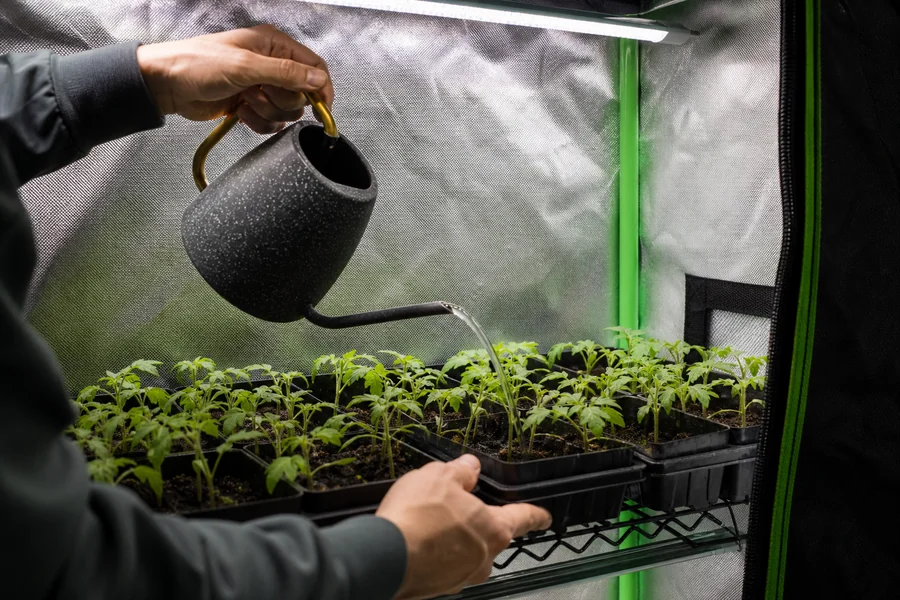 Ventilation duct connected to Zazzy Grow Tent port